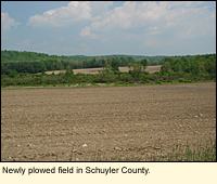 Newly plowed field in Schuyler County, New York.