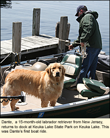 Dante, a 15-month-old labrador retriever from New Jersey, returns to dock at Keuka Lake State Park on Keuka Lake. This was Dante'e first boat ride.