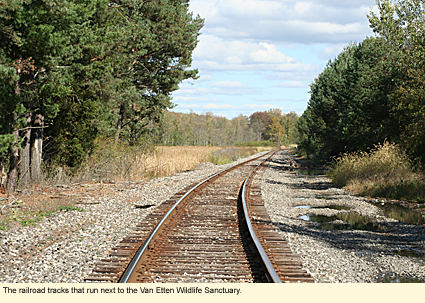 The railroad tracks that run next to the Van Etten Wildlife Sanctuary.