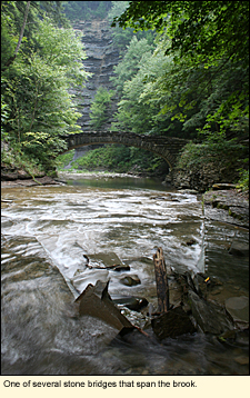 One of several stone bridges that span the brook.