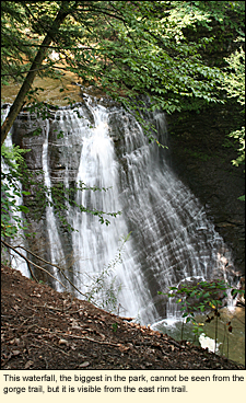 This waterfall, the biggest in the park, cannot be seen from the gorge trail, but it is visible from the east rim trail.