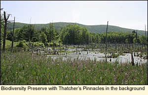 The Lindsay-Parsons Biodiversity Preserve in Danby, New York USA