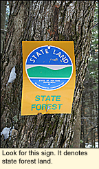 New York State Department of Environmental Conservation State Forest sign.
