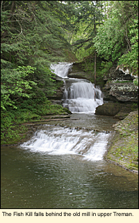 The Fish Kill Falls behind the old mill at upper Robert H. Treman State Park in the Finger Lakes, New York, USA.